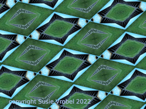 susie vrobel bad nauheim saline